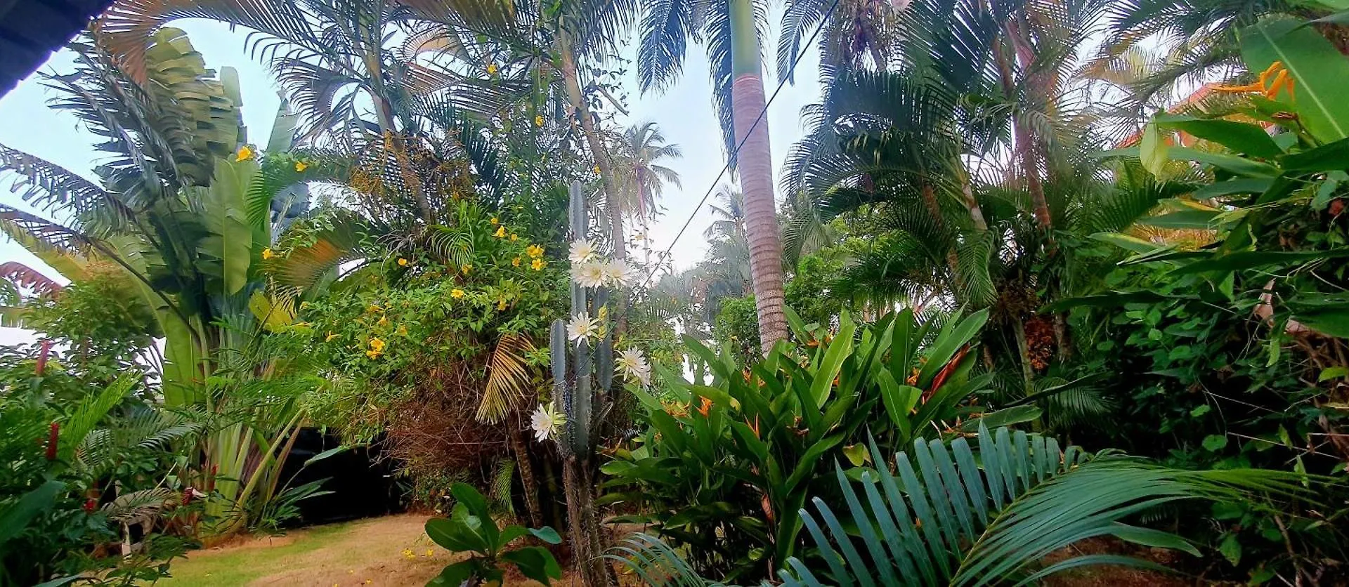 Villa Casa Mango Las Terrenas Holiday home